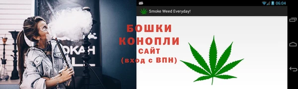 бошки Алексин
