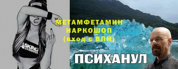 бошки Алексин
