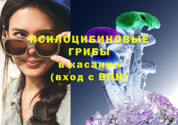 бошки Алексин