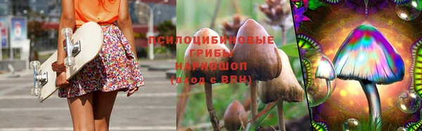 стаф Абинск