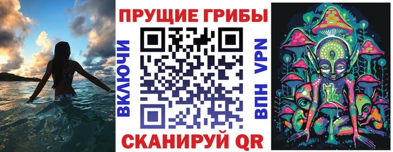 дарнет шоп KRAKEN Галлюциногенные грибы мицелий Навашино